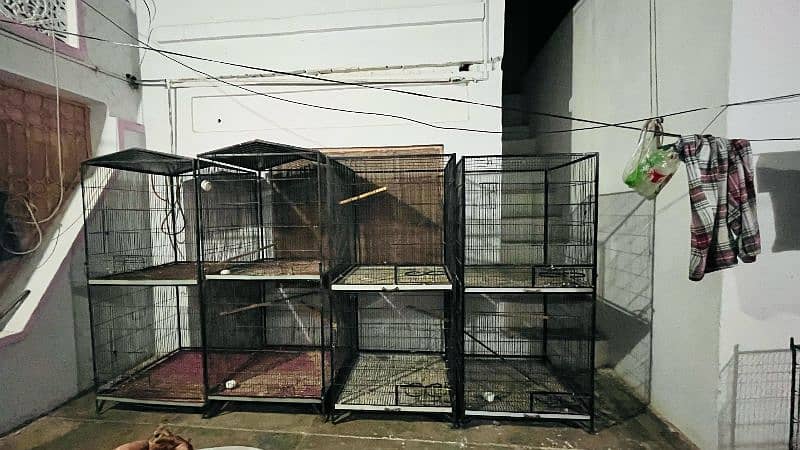 2 portion cages 0