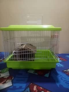 hamster cage | hamster setup complete