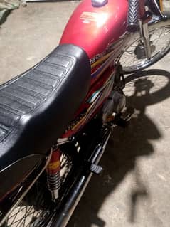 UNION STAR MODEL 2024 MONTH 10