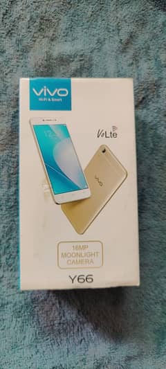Vivo