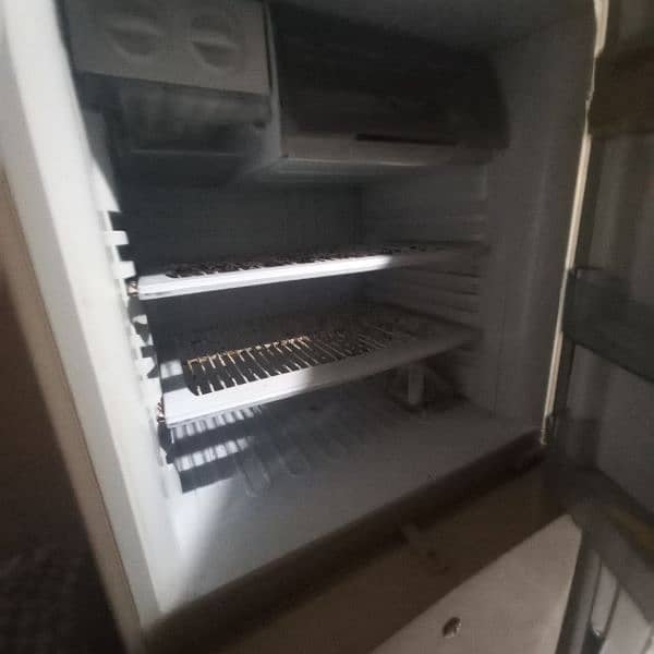 PEL Fridge large size 3