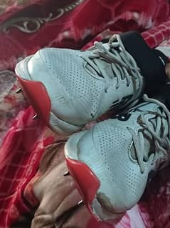 nb spikes