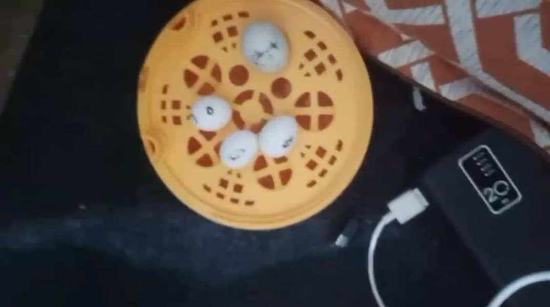 incubator 4