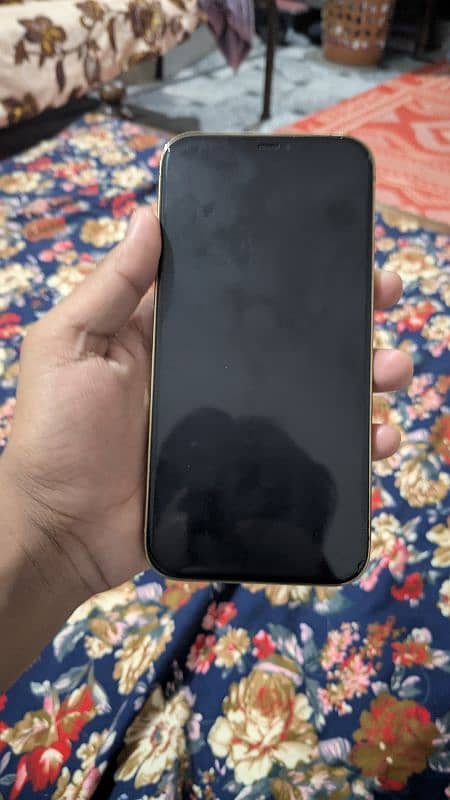 IPHONE 12 PRO MAX NON PTA 5