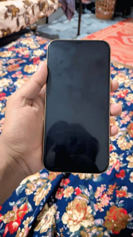 IPHONE 12 PRO MAX NON PTA 7