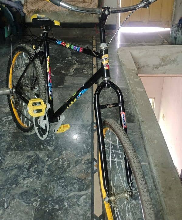 Phienix cycle 1