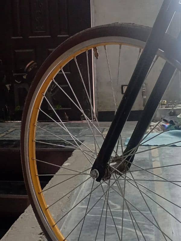 Phienix cycle 5