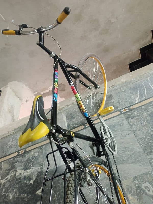 Phienix cycle 6
