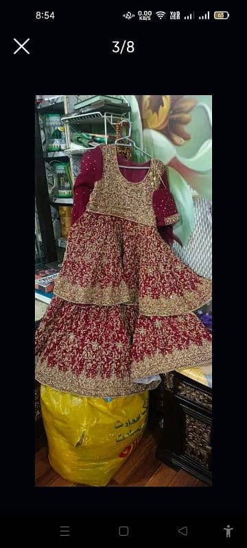 braidl lehnga for sale 3