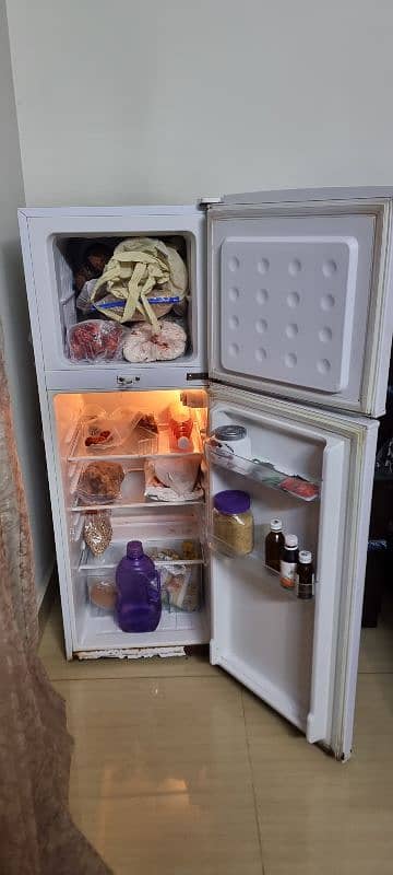 Medium size fridge DANTSAT GENERAL 0