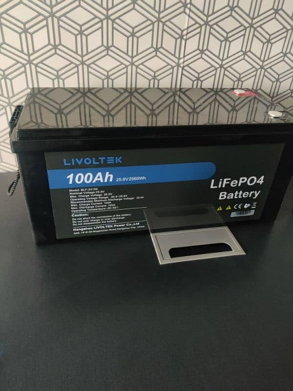 livoltek 24 volt 100 AH battery 1