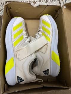 Adidas adipower vector