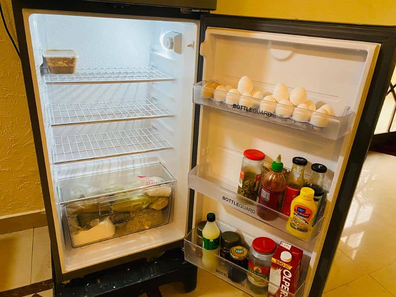 hair fridge medium size 5