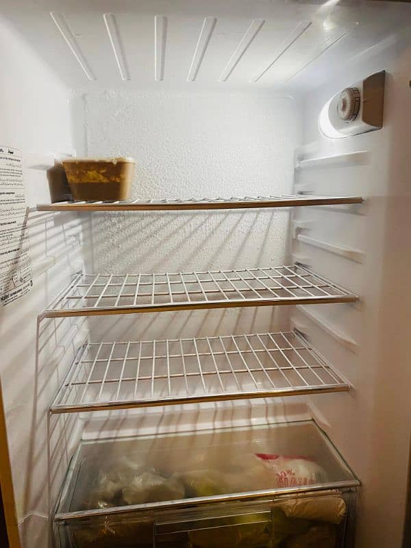 hair fridge medium size 7