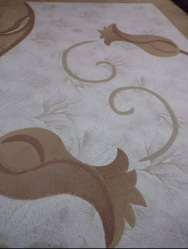 used carpet 1