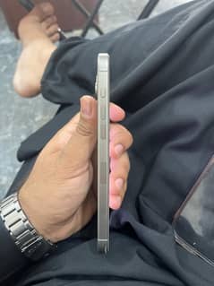 15 pro max