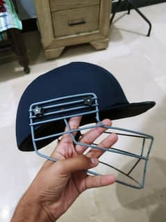 Cricket