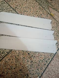 Ceiling