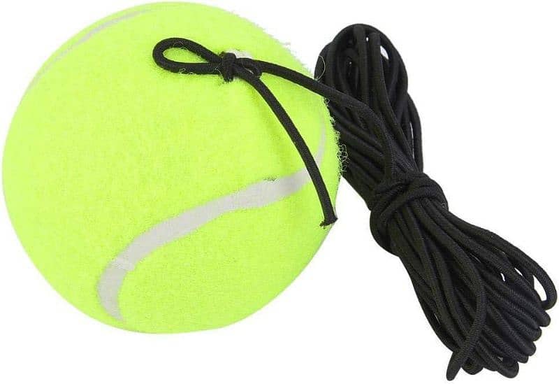 wholesale cricket bat with practice ball 8