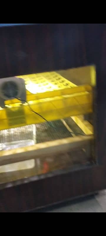 FULLY AUTOMATIC INCUBATOR 1