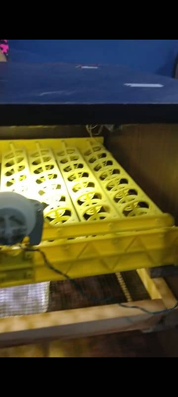 FULLY AUTOMATIC INCUBATOR 4