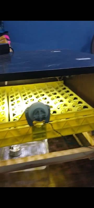 FULLY AUTOMATIC INCUBATOR 5
