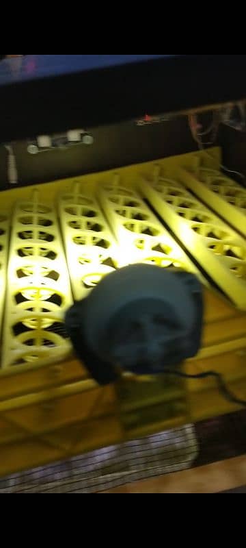 FULLY AUTOMATIC INCUBATOR 6