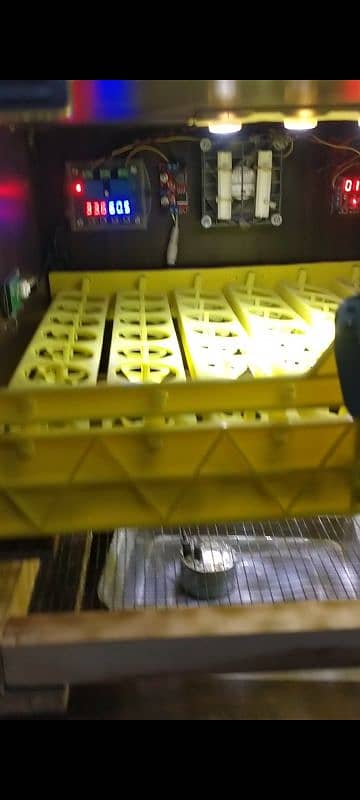 FULLY AUTOMATIC INCUBATOR 7