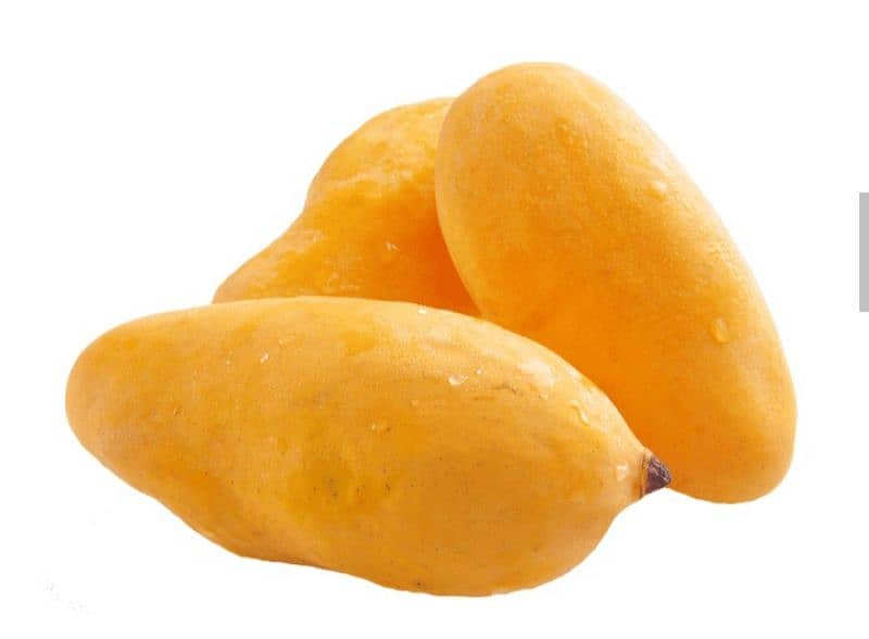 fresh mango available here 1