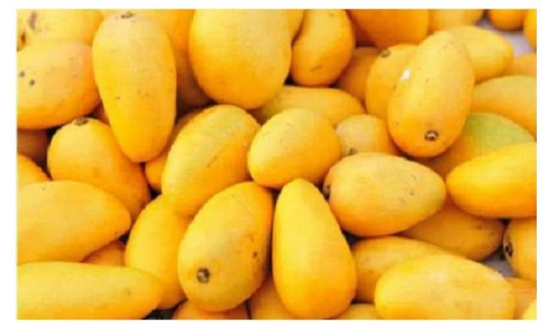 fresh mango available here 3