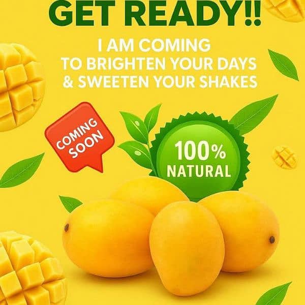 fresh mango available here 7