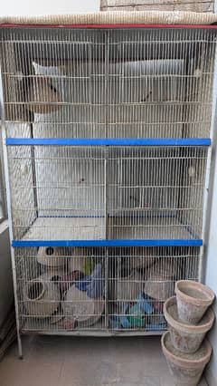 6 portion colony Cage