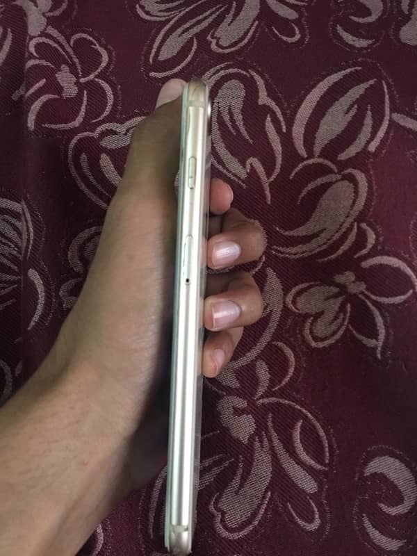iPhone 8 Plus 3