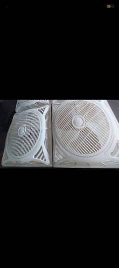 Royal Fans for sale