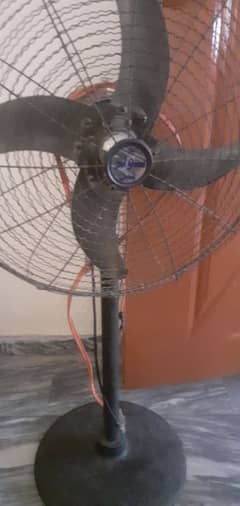soler fan