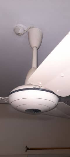 celling