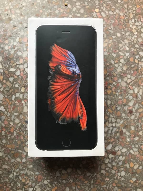 iPhone 6Splus 5