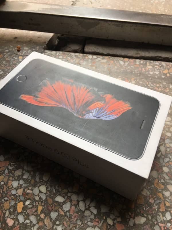 iPhone 6Splus 13
