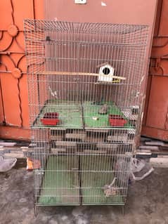 Hen