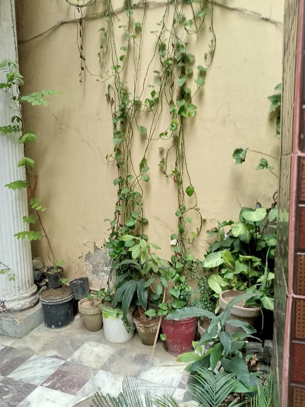 10marla Double Story In Al Hamed Colony Opp Neelam Block Iqbal Town Lahore 22