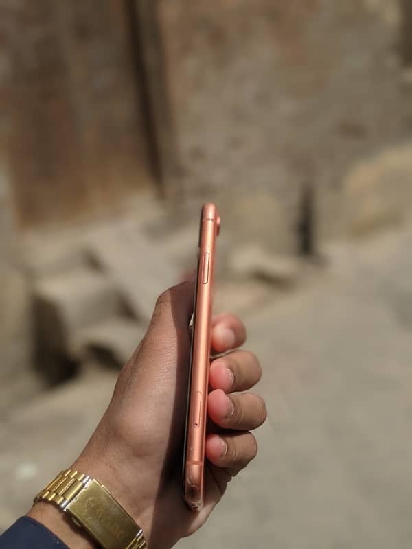 iphone XR 1