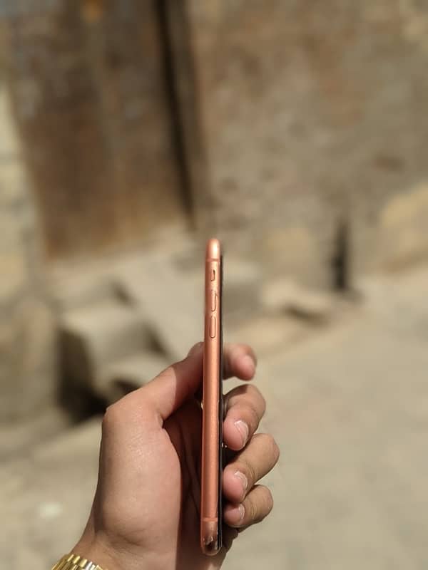 iphone XR 3