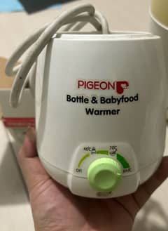 pigeon