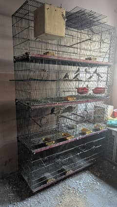 cages for sale
