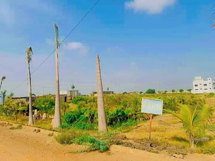 40ft back Good Location Near To Gate Near To Park 1