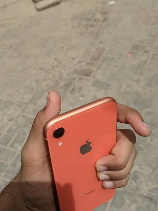 iphone XR 1