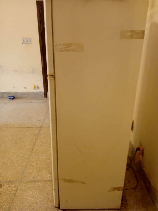 Kelvinator Platinum refrigerator 2