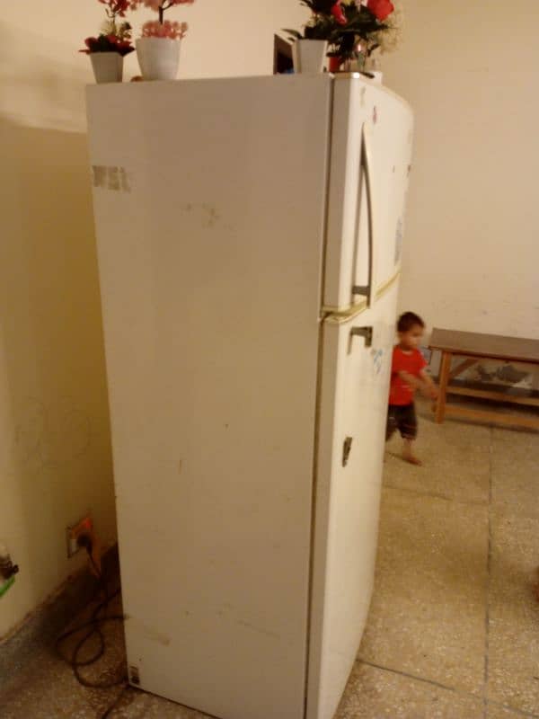 Kelvinator Platinum refrigerator 5
