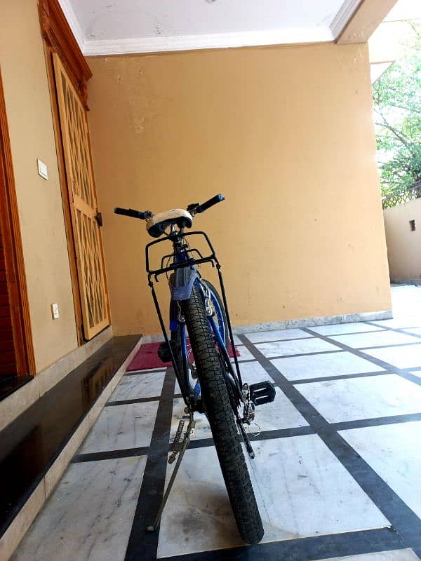Phonix Bicyle New with Gayres 1
