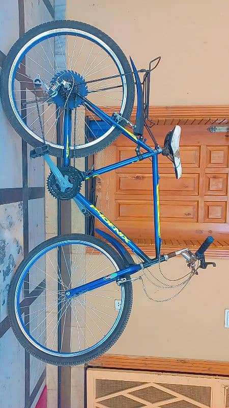 Phonix Bicyle New with Gayres 3
